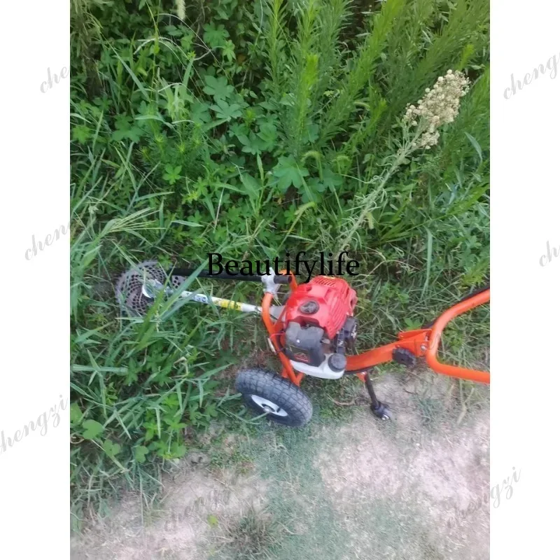 L178 Lawn mower hand push lawn - Power Tools Garden 评论和价格
