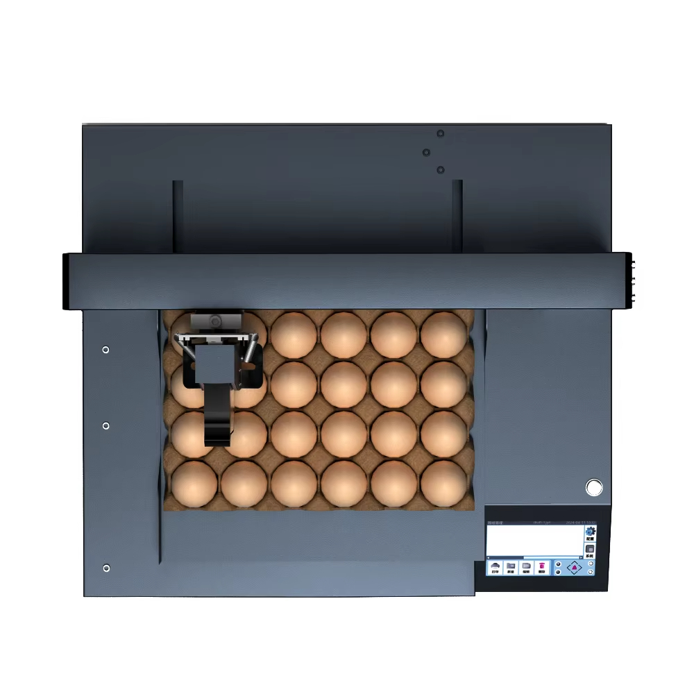 DP1-150-600 Inkjet Egg Marking - Power Tools Logo 评论和价格